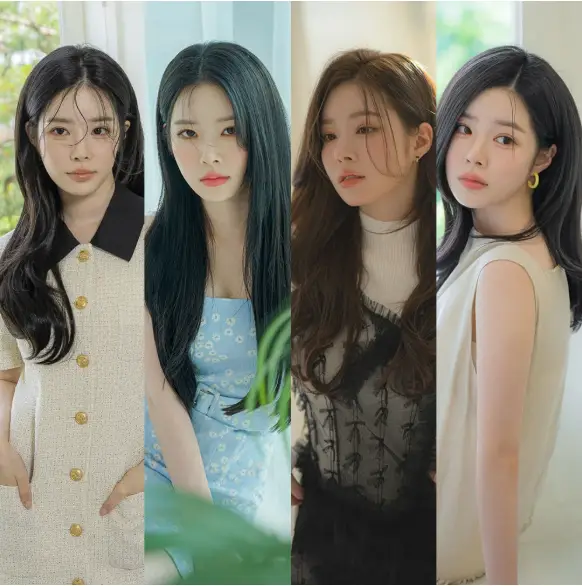 가발나라 오픈반가발