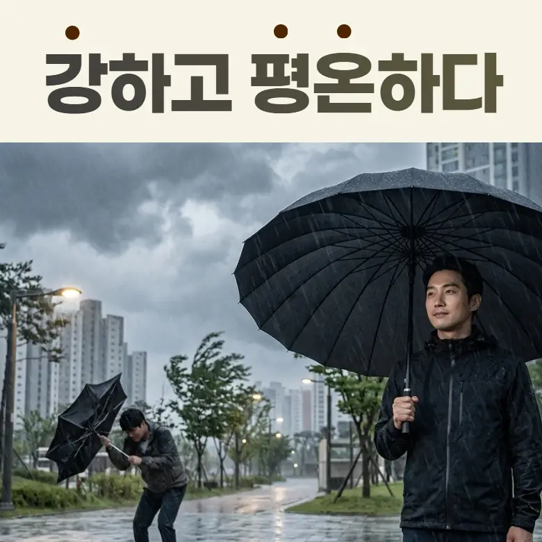릴레타 안 뒤집히는 태풍 골프 UV차단 자동 장우산