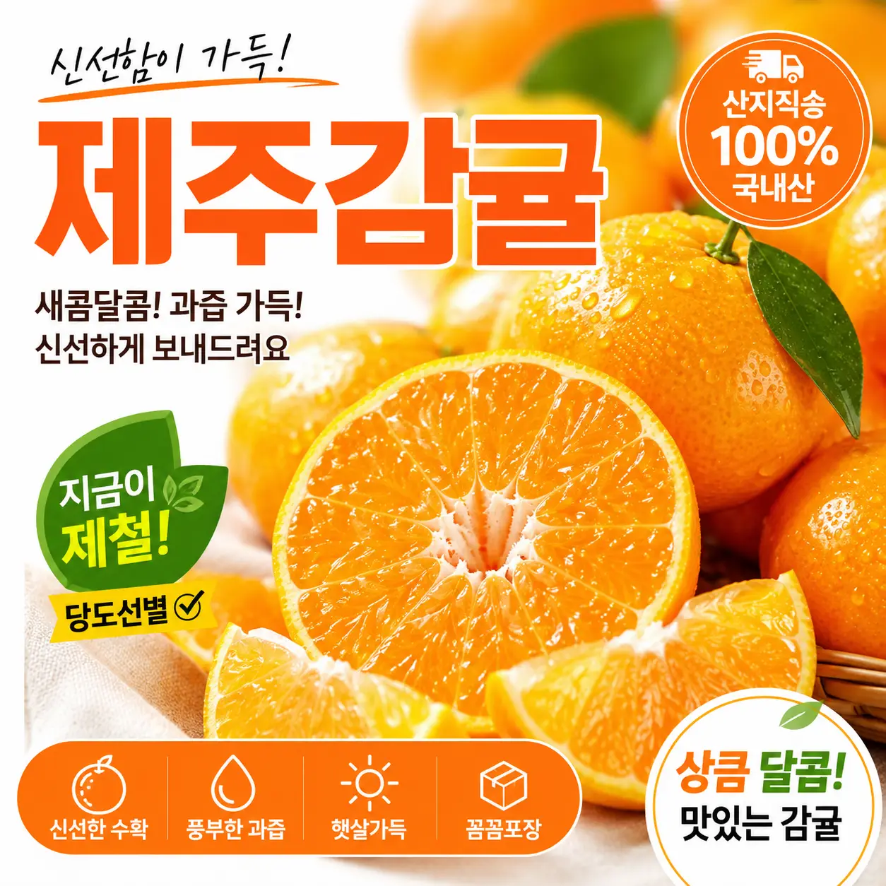 지금 가장 맛있는 제주 감귤 중대과 2kg
