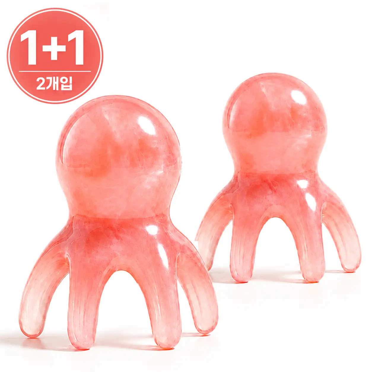 문어괄사 1+1 체험단 모집
